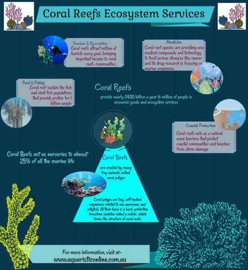 UntitledInfographic.jpg