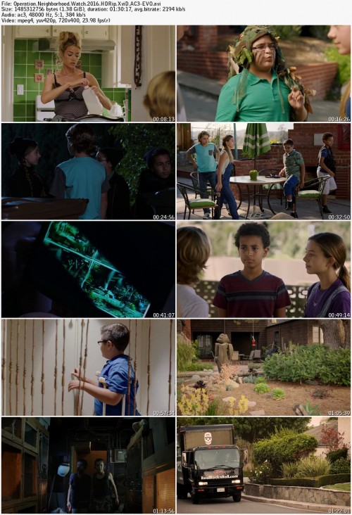 Operation.Neighborhood.Watch.2016.HDRip.XviD.AC3-EVO_s.jpg