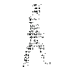 sig.gif
