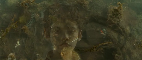 screen17981d.png