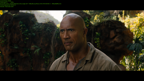Jumanji_Welcome_to_the_Jungle_2017_1080p_Blu-ray_Remux_AVC_DTS-_H.png