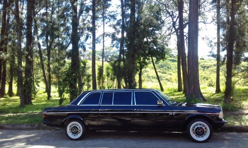 Public-park-Mercedes-300d-Lang-Limousine.-Rohrmoser-Costa-Rica.jpg