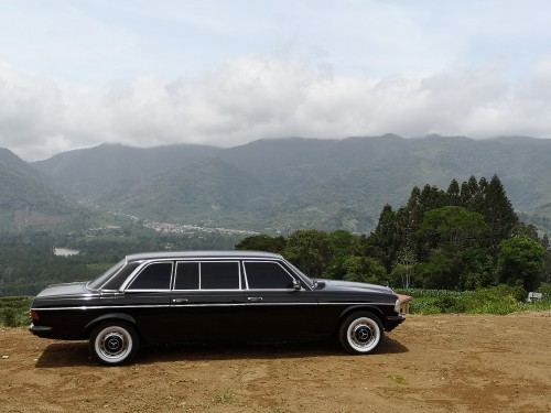 CARTAGO-COSTA-RICA.-LIMOUSINE-SERVICE-MERCEDES-W123-300D.jpg