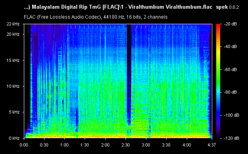 Viralthumbum-Viralthumbum.flac.png