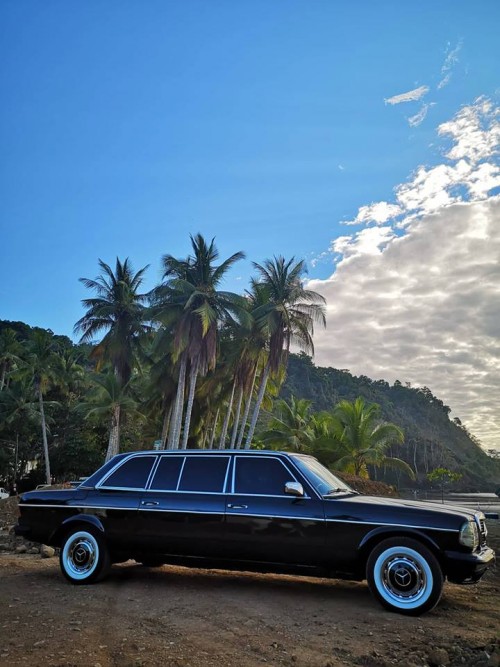 tz87g.jpg